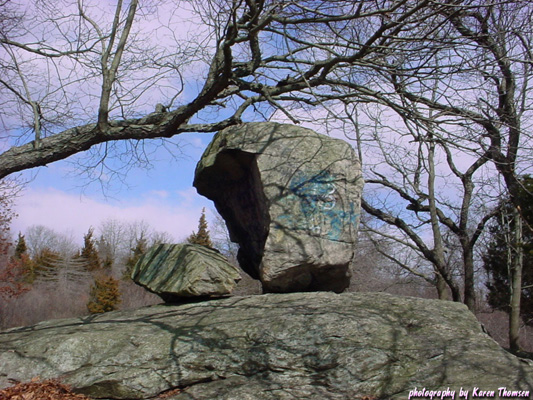 canopy_rock1