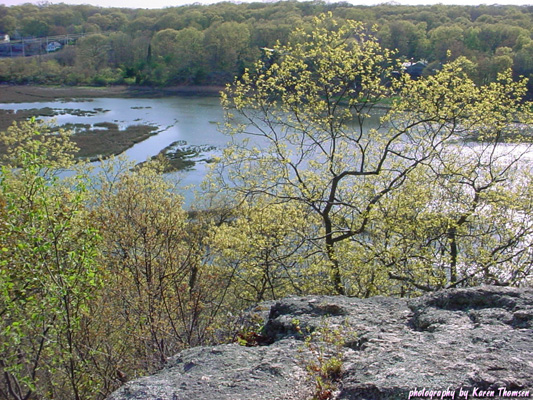 rocky_neck1