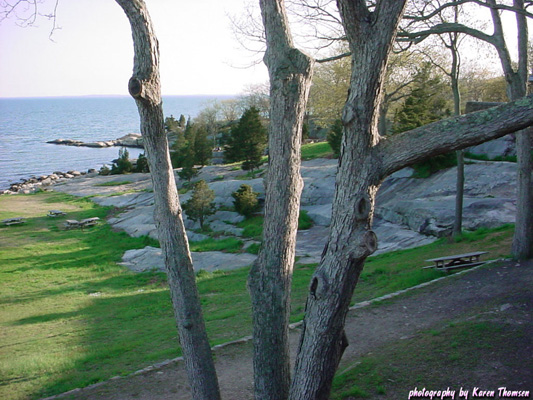 rocky_neck3