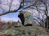 canopy_rock1