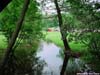 laurel_brook1
