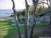 rocky_neck3